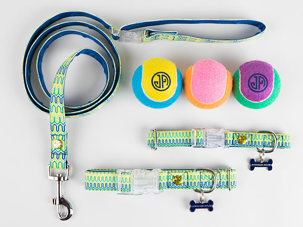 Dog items: leads, colors and tennis balls